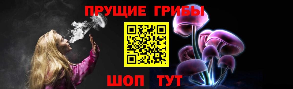 Псилоцибиновые грибы ЛСД  наркота  Новоалександровск 