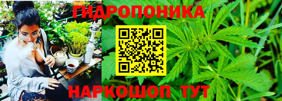 Бошки Шишки план  Конопля план  Новоалександровск  Канабис Amnesia 